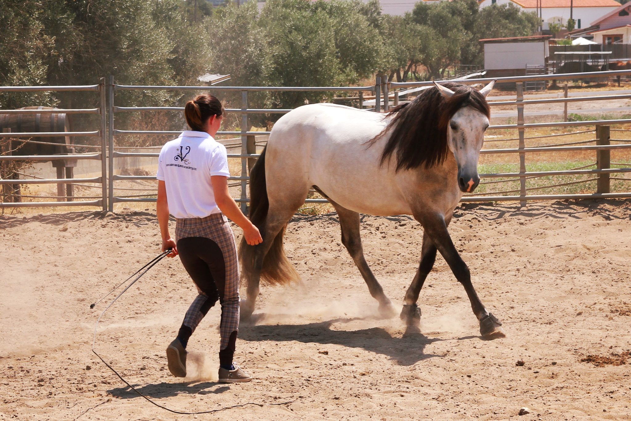 Conseils Pour Am Liorer Son Quitation Dressage Et Quilibre