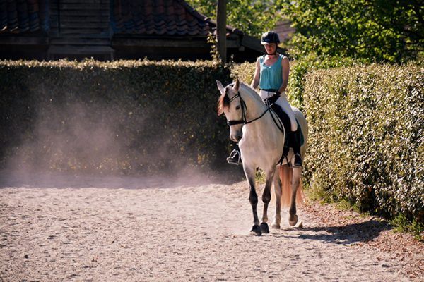 Cheval blanc en épaules en-dedans