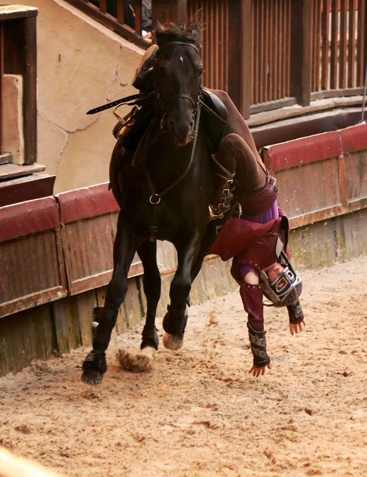 Cheval en voltige