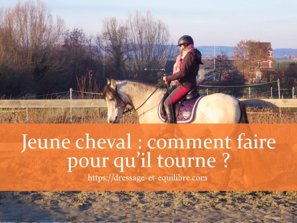 jeune cheval