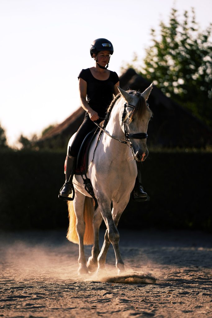 Cheval espagnol en appuyer au pas