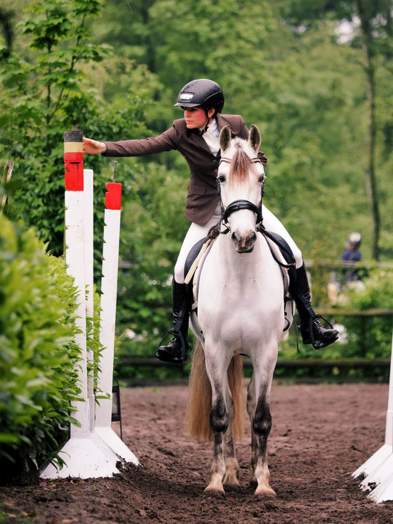 Equitation de travail, épreuve de maniabilité avec un cheval pure race espagnol blanc