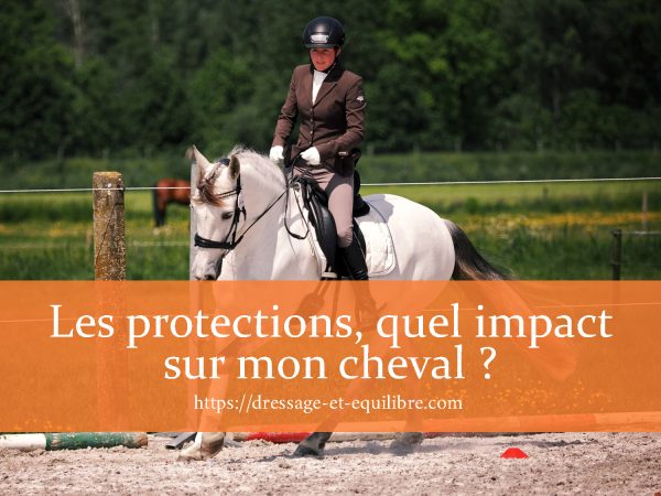 Cheval blanc avec bande polo